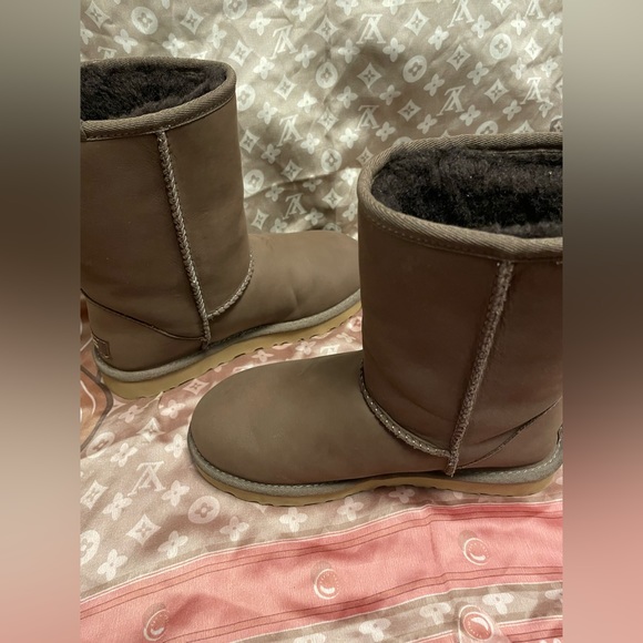 Brown Classic Short Ugg Boot - Picture 3 of 8